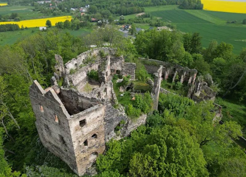Ruiny zamku Gryf w Proszówce, Proszówka, Poland, Poland